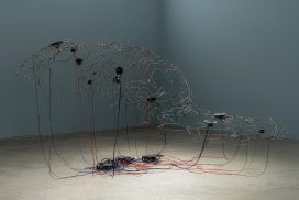 art climate change coral reef