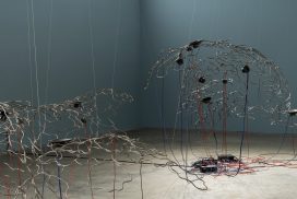 art climate change coral reef