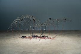 contemporary art climate change coral reef