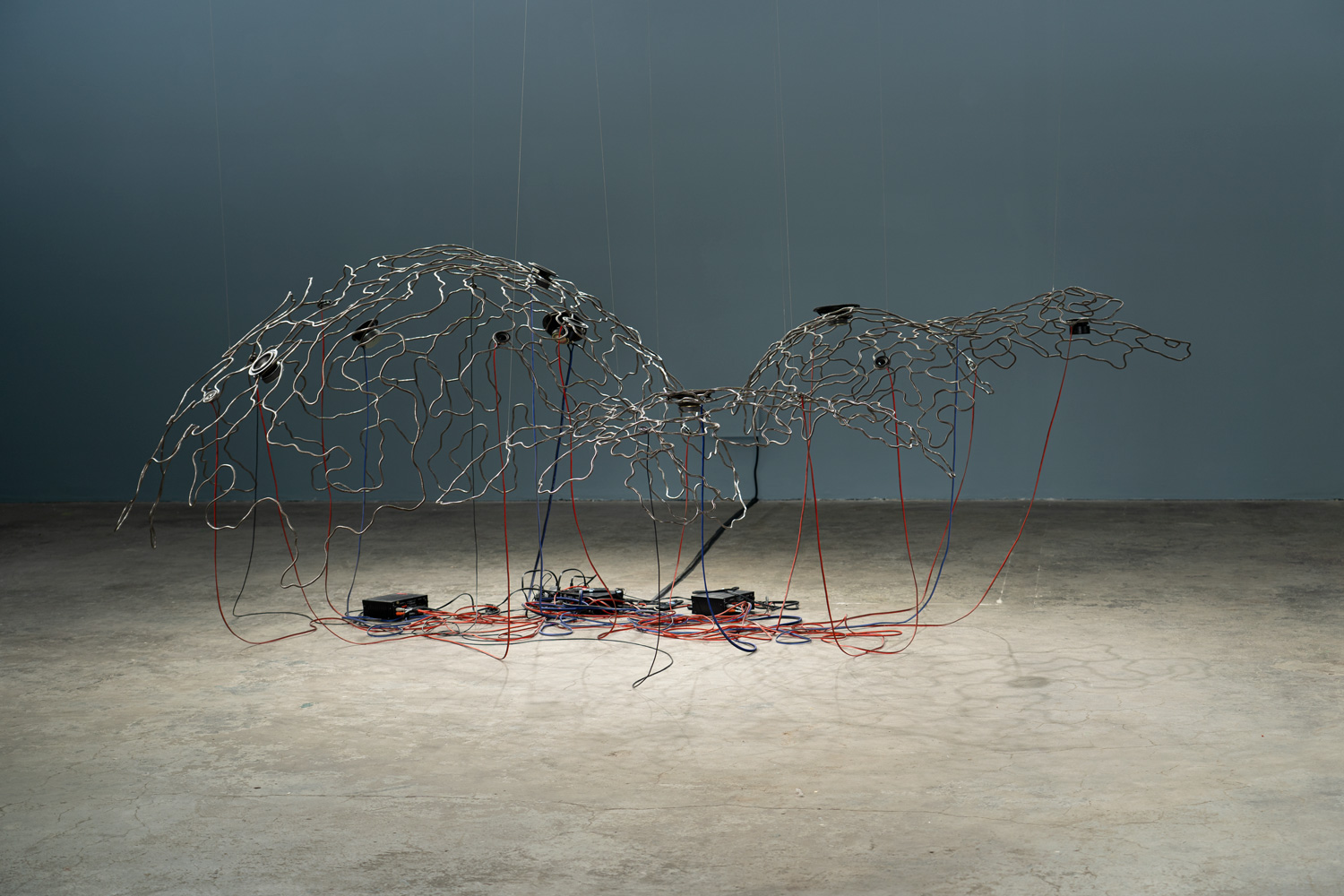 art coral reef sound