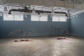art coral reef sound enrichment