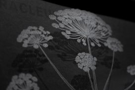 art and botany