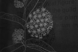 art and botany