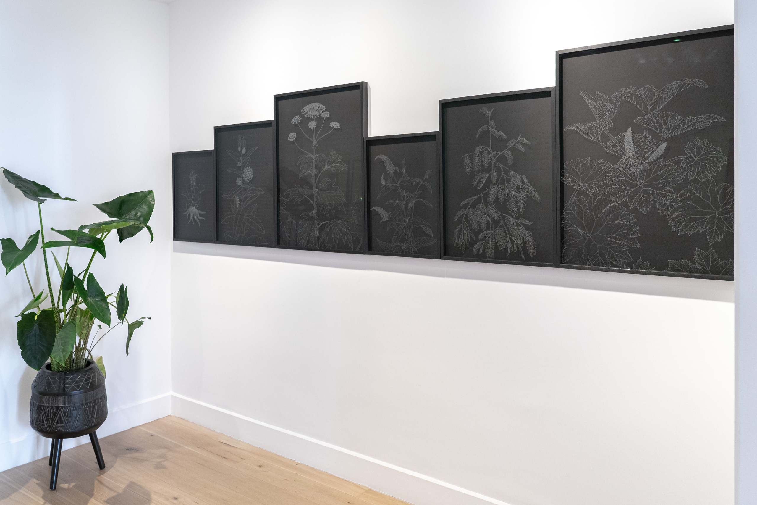 contemporary art climate change