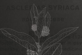 art and botany
