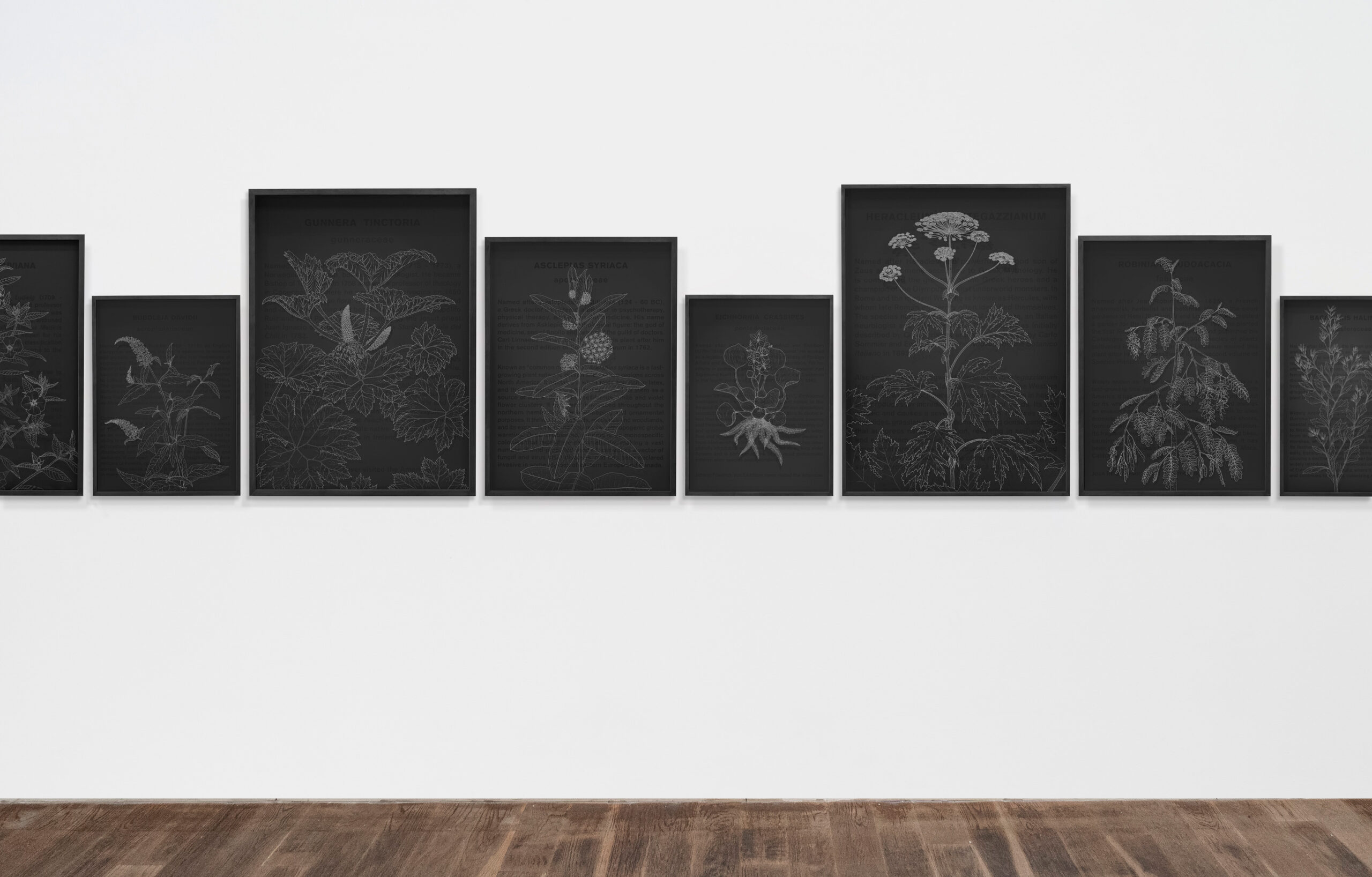 contemporary art climate change