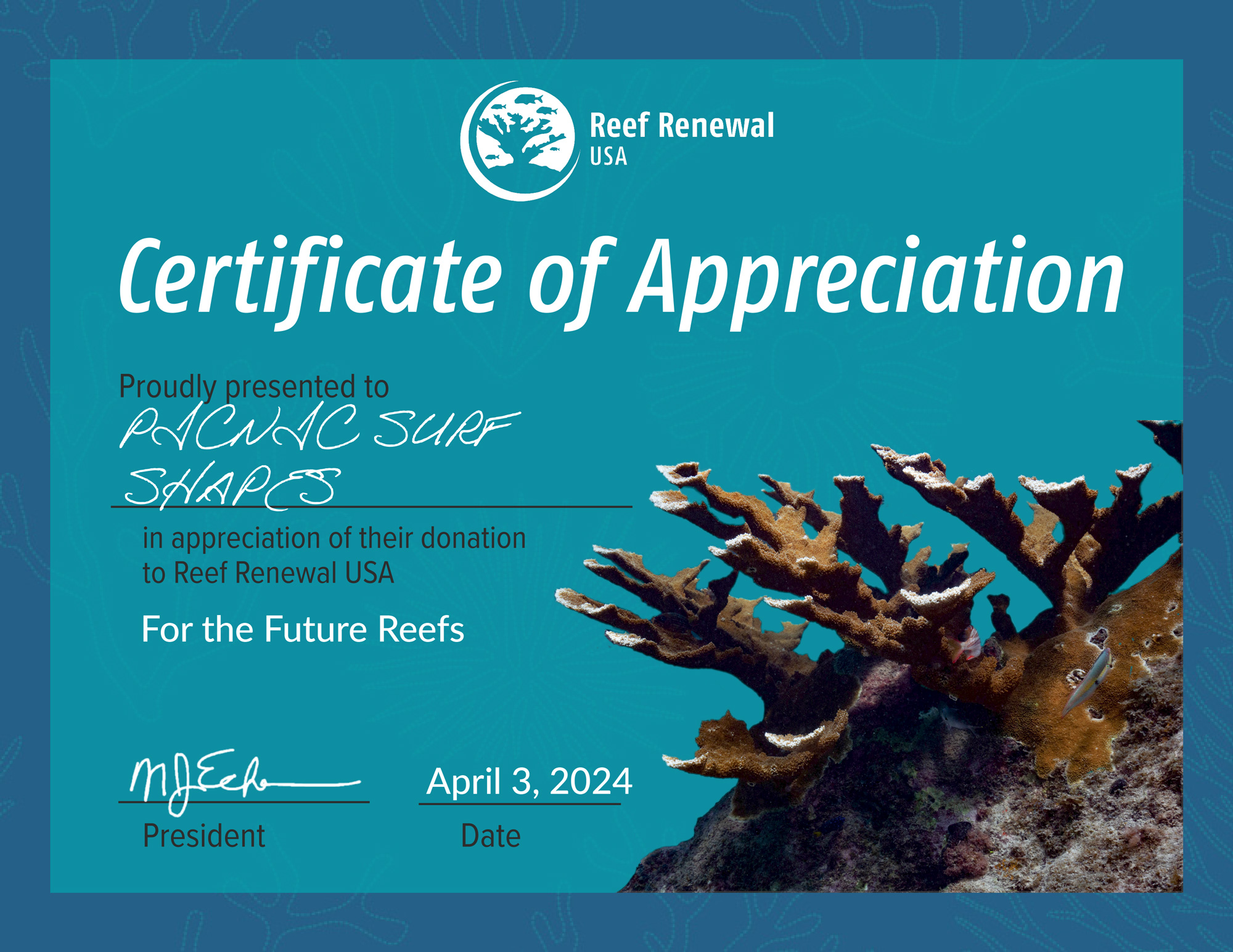 art coral reef
