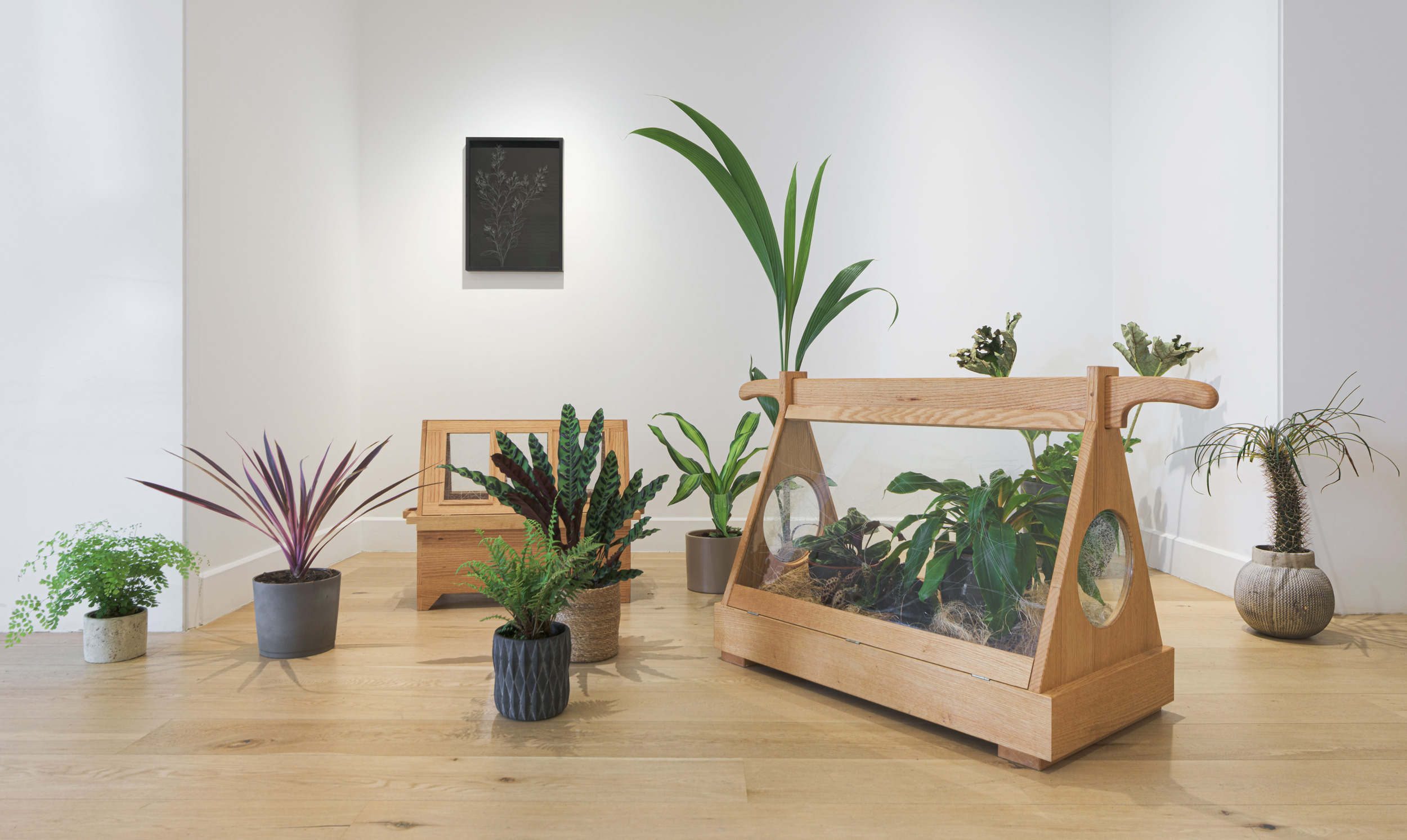 contemporary art climate change